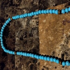 Elegant Blue Beaded long Necklace